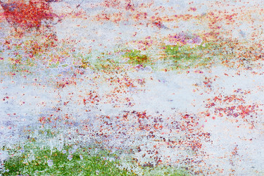 Similar image 2463734