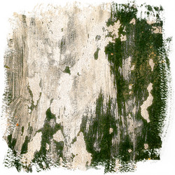 Similar image 2463742