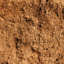 Similar image 2463745