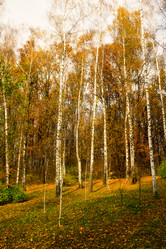 Similar image 2463828