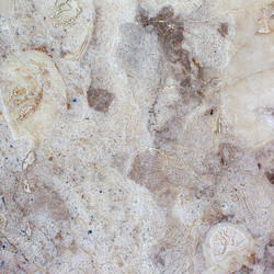 Similar image 2463837