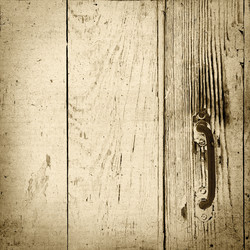 Similar image 2463842