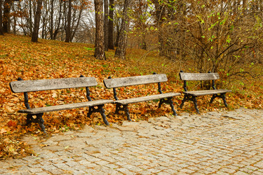 Similar image 2463857