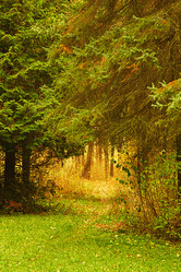 Similar image 2463885