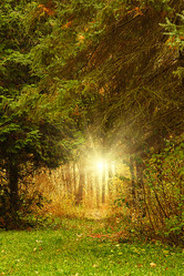 Similar image 2463918