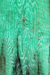 Similar image 2464402