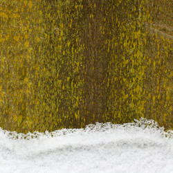 Similar image 2464426