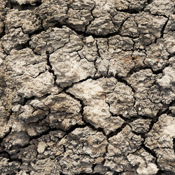 Similar image 2464433