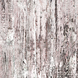 Similar image 2464435