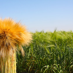 Similar image 2464436