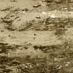 Similar image 2464511