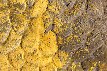 Similar image 2464518