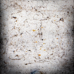 Similar image 2464568