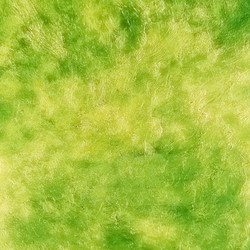 Similar image 2464589