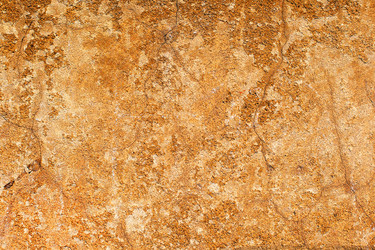 Similar image 2464603