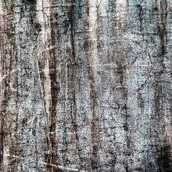 Similar image 2464713