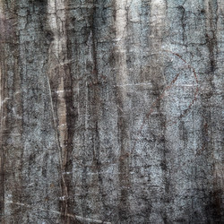 Similar image 2464716