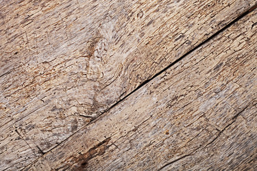 Similar image 2465772