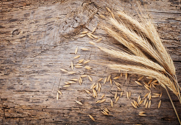 Similar image 2465775