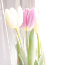 Similar image 2475953