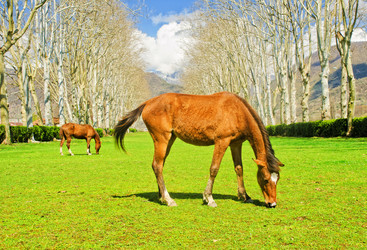 Similar image 2475967