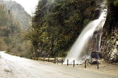 Similar image 2476285