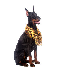 Similar image 2476374