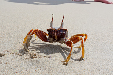 Similar image 2476540