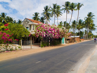 Similar image 2476885