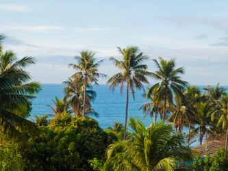 Similar image 2476887