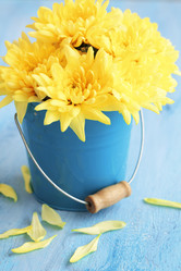 Similar image 2476967