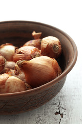 Similar image 2476978