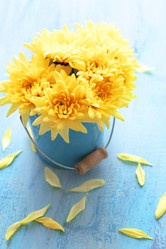 Similar image 2476981