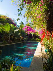 Similar image 2476983