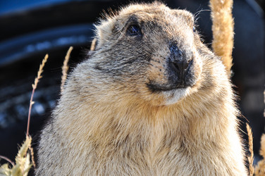 Similar image 2477281