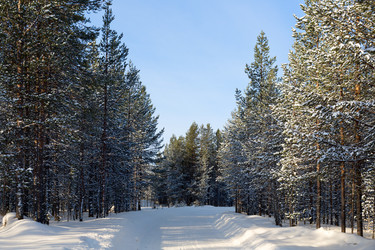 Similar image 2477679