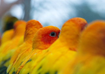 Similar image 2477785