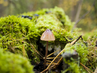 Similar image 2478464