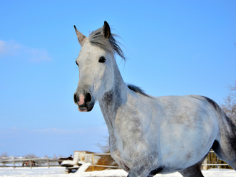 Similar image 2478473