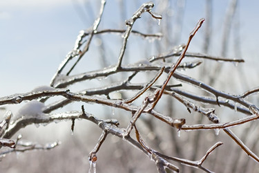 Similar image 2478528