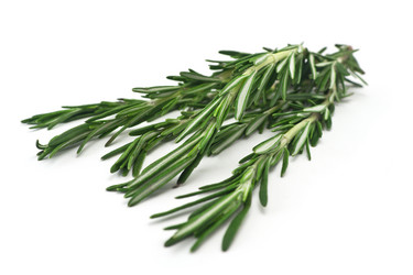 Similar image 2479101