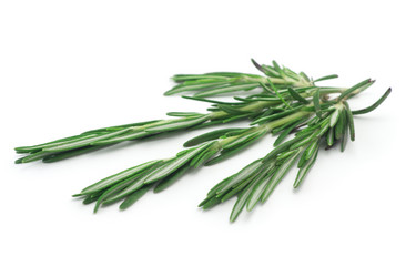 Similar image 2479112