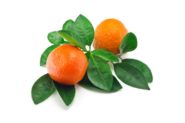 Similar image 2479114