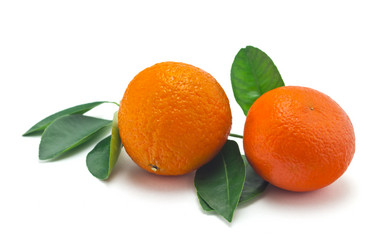 Similar image 2479117