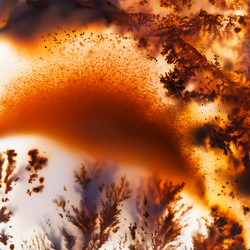 Similar image 2479318