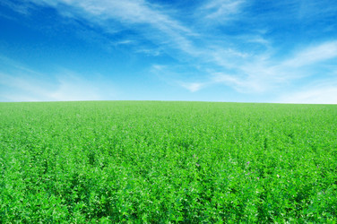 Similar image 2479997