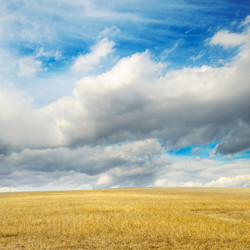 Similar image 2479998