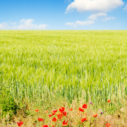 Similar image 2480003