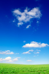 Similar image 2480023