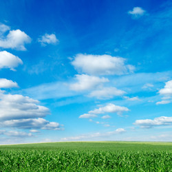 Similar image 2480030